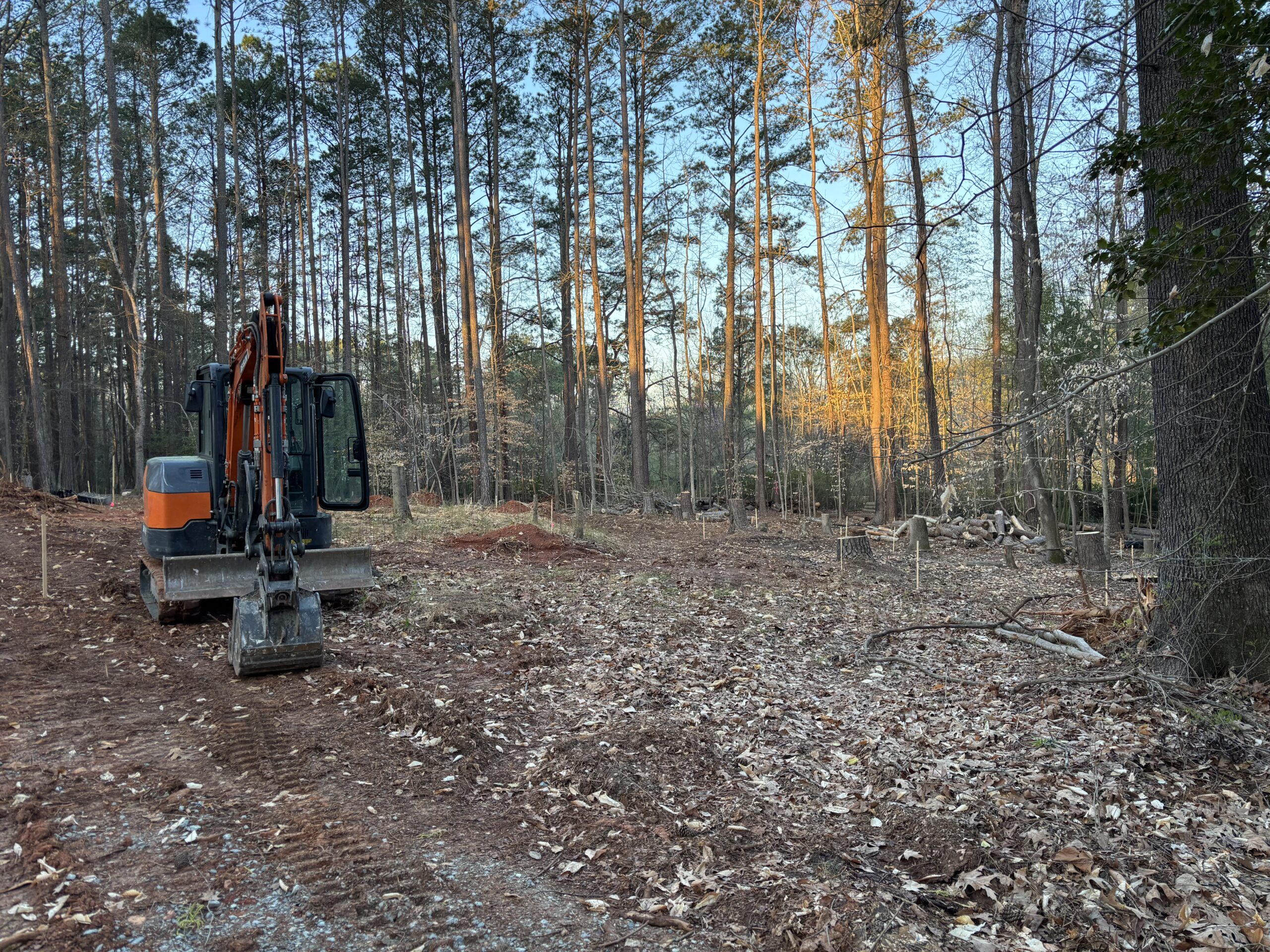 An excavator is parked on cleared ground in a wooded area, surrounded by tall trees and marked stakes outlining a section of the land.